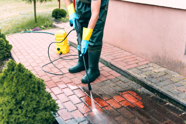 Best Deck Cleaning Services  in Port Huron, MI