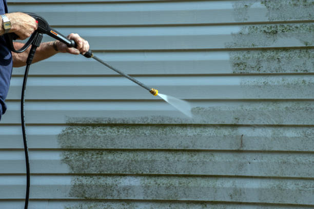 Best Sidewalk Pressure Washing  in Port Huron, MI
