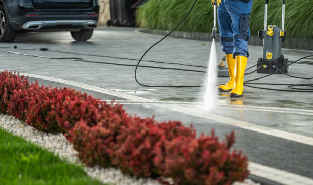 Best Roof Pressure Washing  in Port Huron, MI