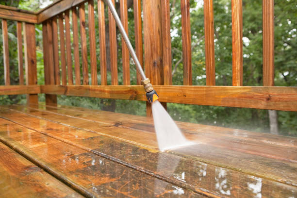 Best Fence Pressure Washing  in Port Huron, MI