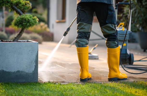 Best Best Pressure Washing Companies  in Port Huron, MI